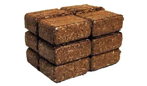 Rindenbriketts Gluthalter kaufen – Brennstoffe Saarland